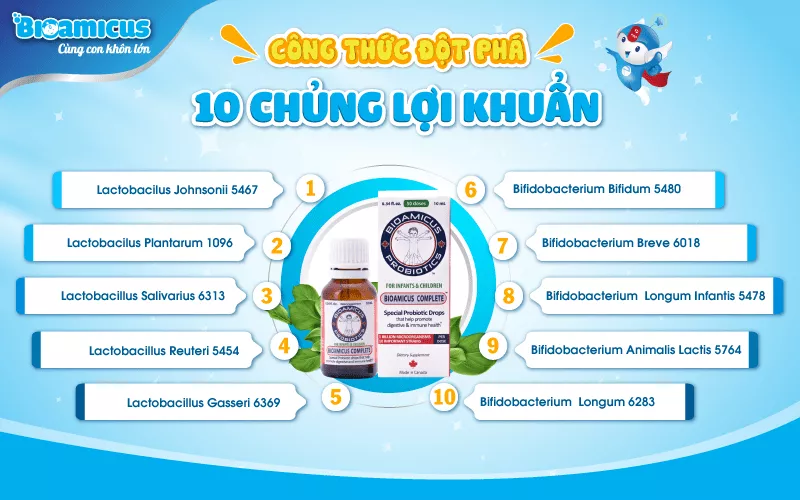 Công thức 10 chủng lợi khuẩn thuần khiết