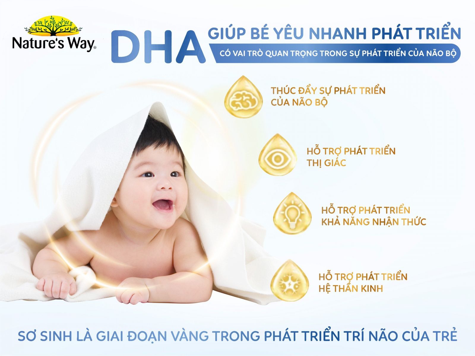 Công dụng của sản phẩm